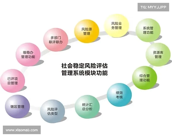 足球转会市场风险评估与管理策略研究及实践探讨 足球转会市场风险评估与管理策略研究及实践探讨